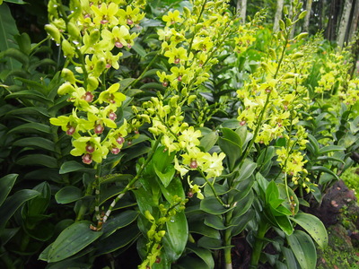 c0103830_1673035.jpg