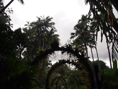 c0103830_1682715.jpg