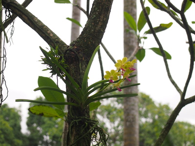 c0103830_1695545.jpg