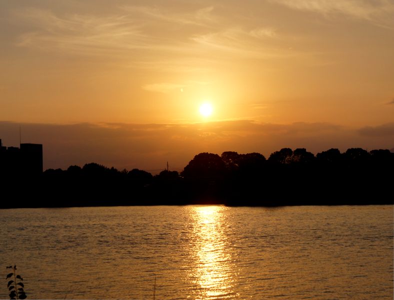 e0149934_20471516.jpg