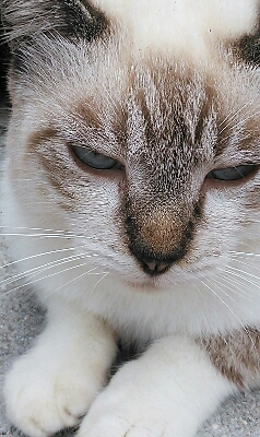 a0167335_13293723.jpg