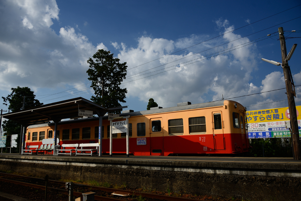 c0221838_21364234.jpg