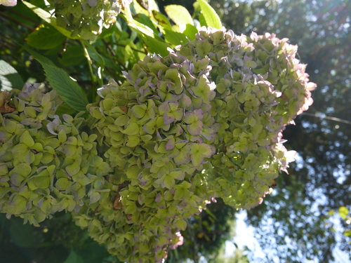 c0195439_23174670.jpg
