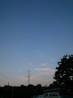 b0075541_101488.jpg