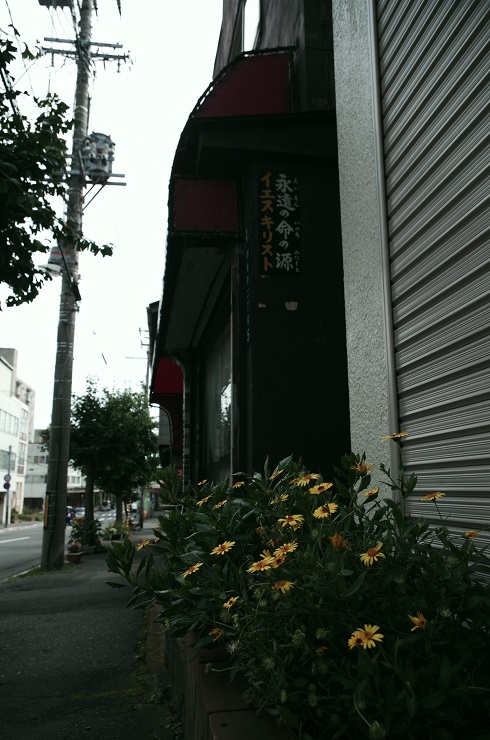 d0165741_14211053.jpg