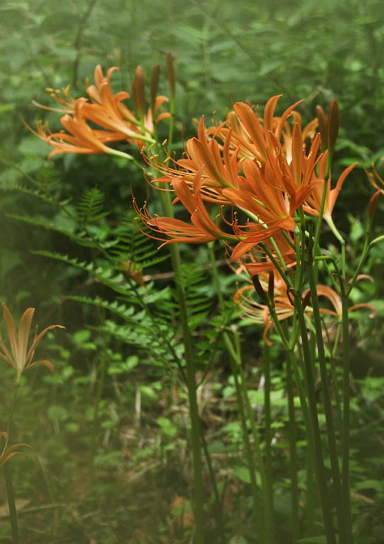 e0077041_21423163.jpg