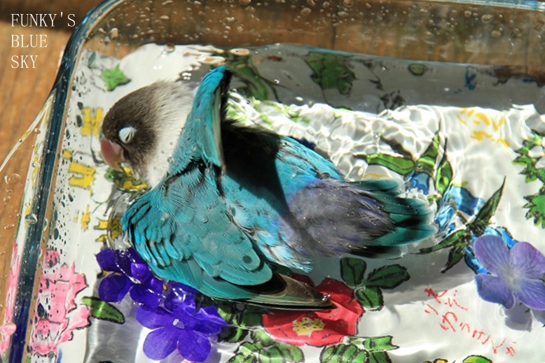 c0145250_1210456.jpg