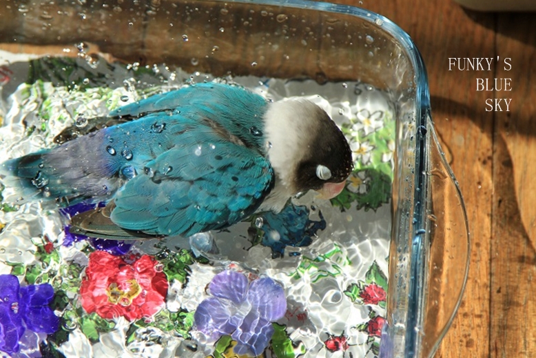 c0145250_1293225.jpg
