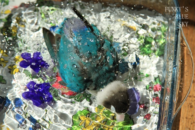 c0145250_1293935.jpg
