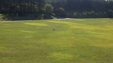 c0097558_17122559.jpg