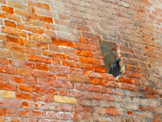 c0076764_11563459.jpg