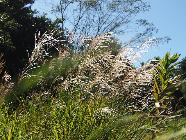 d0128465_1791081.jpg