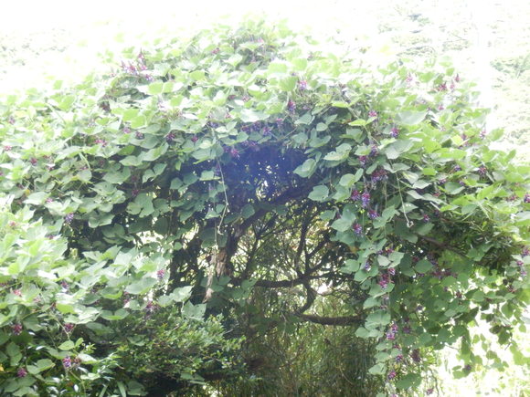 e0292172_20472236.jpg