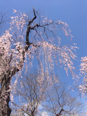 f0026475_17444750.jpg