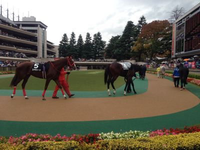 f0026475_20103137.jpg