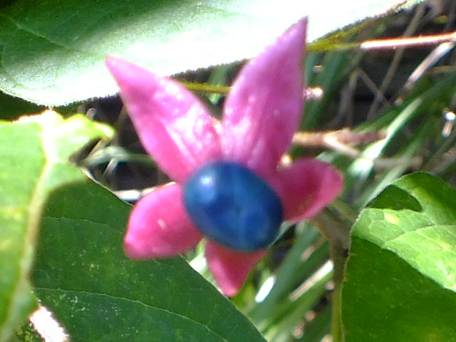e0145782_19201630.jpg