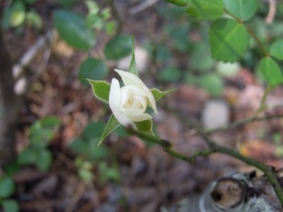 f0045283_13425469.jpg