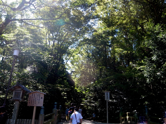 c0188784_23413456.jpg