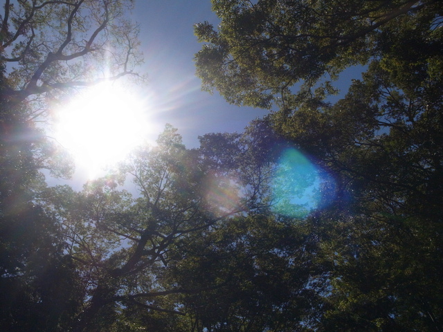 c0188784_23442394.jpg