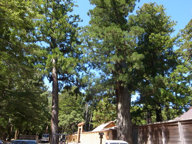 c0188784_23482519.jpg