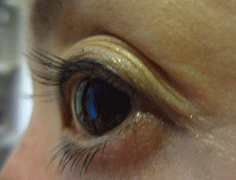 f0110488_1014683.gif