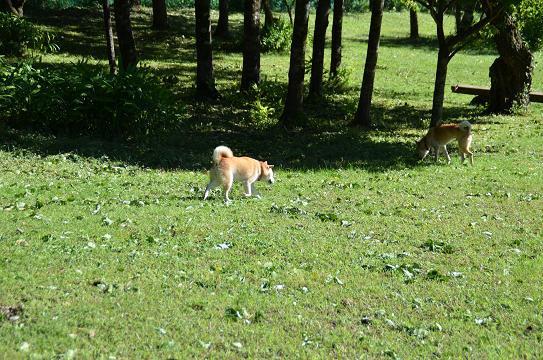 c0123890_2057831.jpg