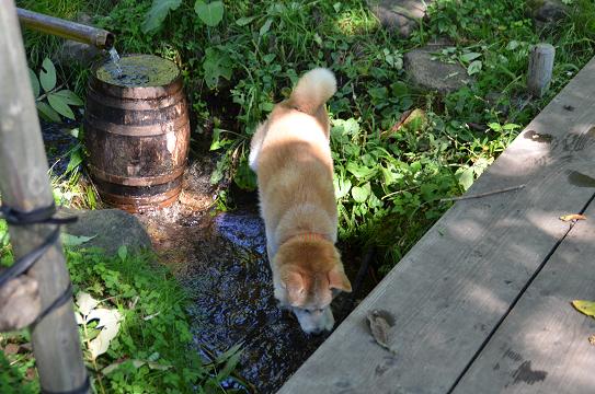 c0123890_2058719.jpg