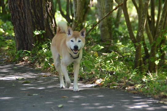 c0123890_21115856.jpg