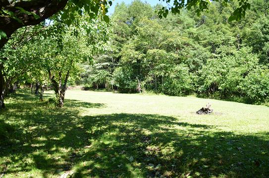 c0123890_21124066.jpg