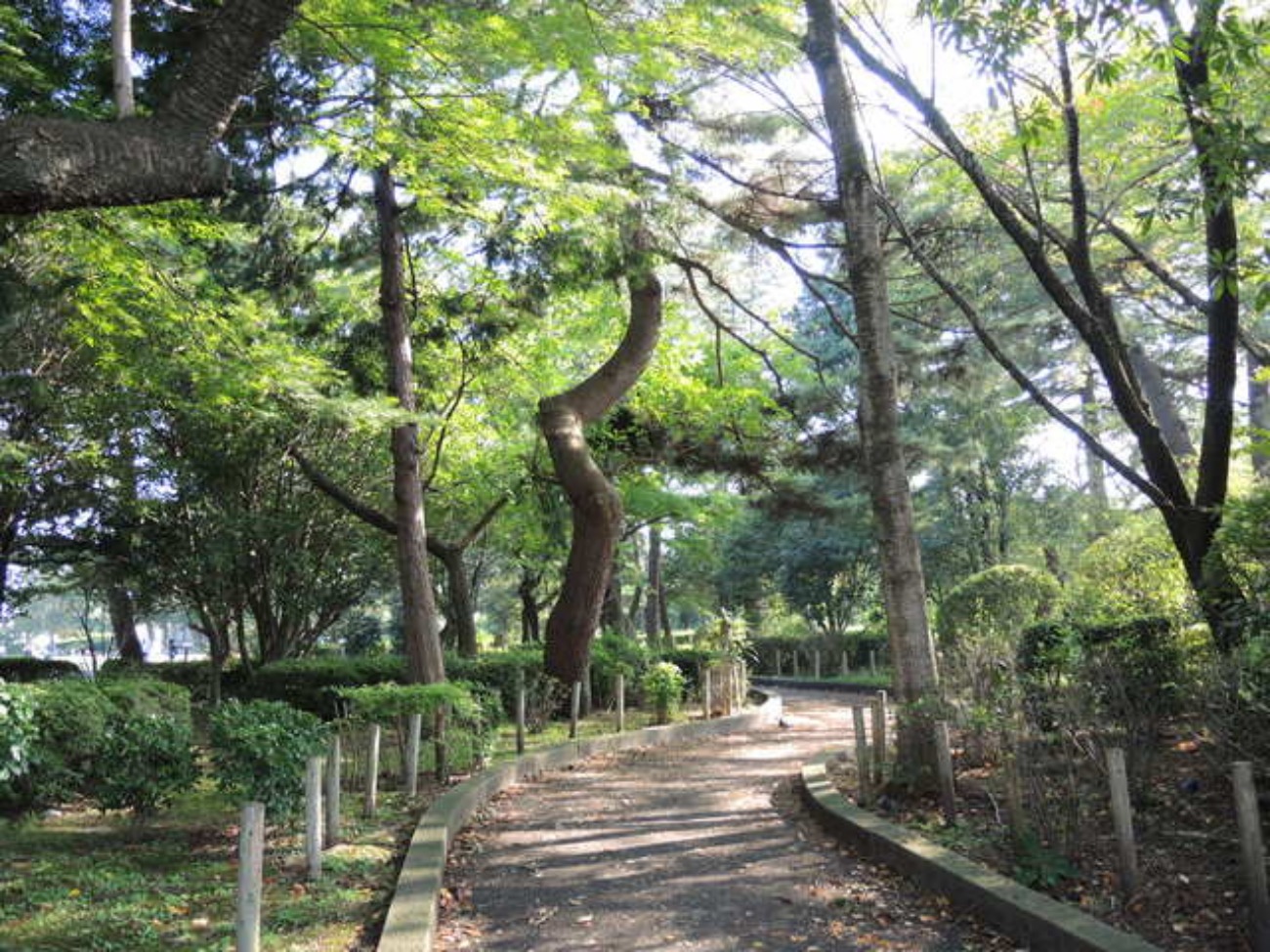 f0100593_20255370.jpg