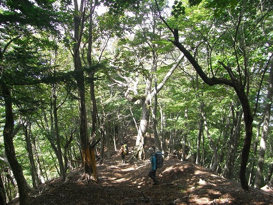f0187402_23481423.jpg