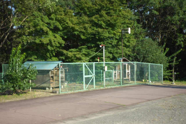 d0143011_16352470.jpg