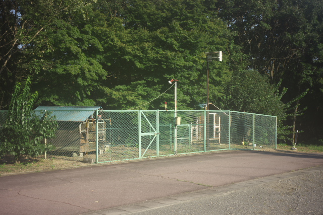 d0143011_16353623.jpg