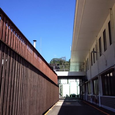 c0175715_664411.jpg