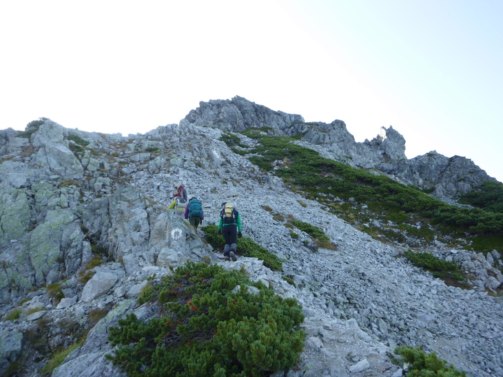 d0170615_6524370.jpg