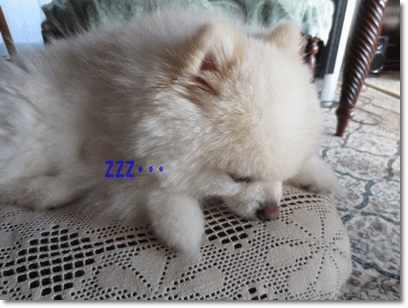 b0167519_163993.gif