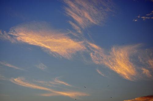 e0312121_1128632.jpg