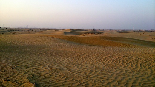 b0001324_23455813.jpg
