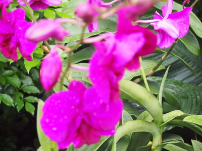 c0103830_14343624.jpg