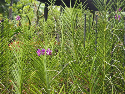 c0103830_14375083.jpg