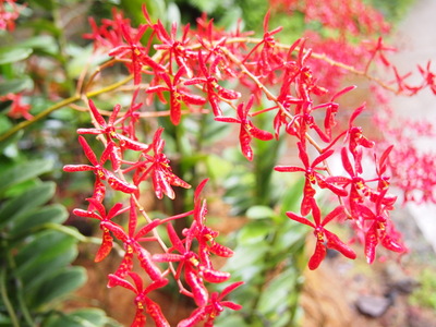 c0103830_1441159.jpg