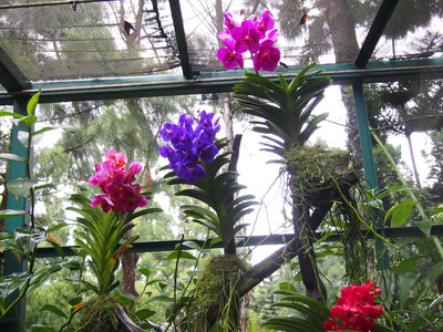 c0103830_14484286.jpg