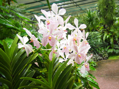 c0103830_14511720.jpg