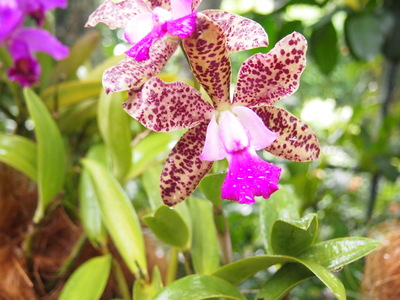 c0103830_14513951.jpg