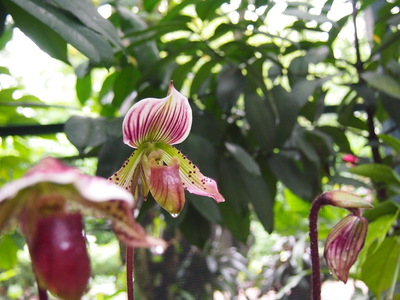 c0103830_14521445.jpg