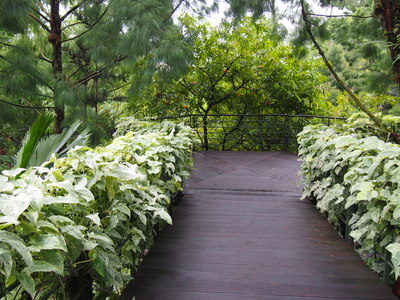 c0103830_14535864.jpg