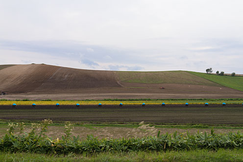 e0025030_839473.jpg