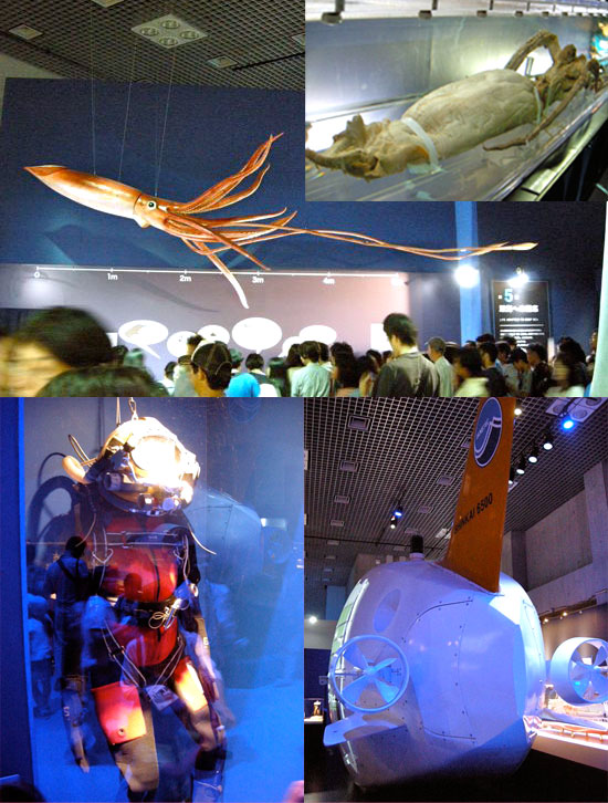 e0247832_2358738.jpg