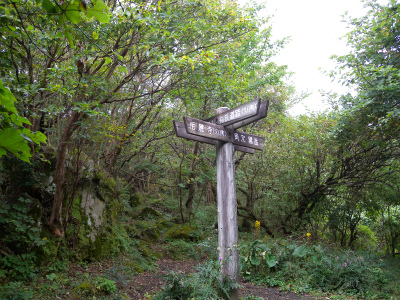 e0272335_1914565.jpg