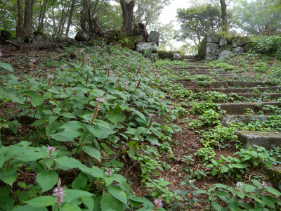e0272335_19163488.jpg